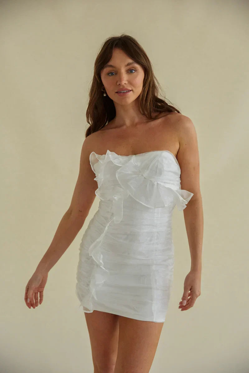Sam Ruched Organza Bodycon Mini Dress
