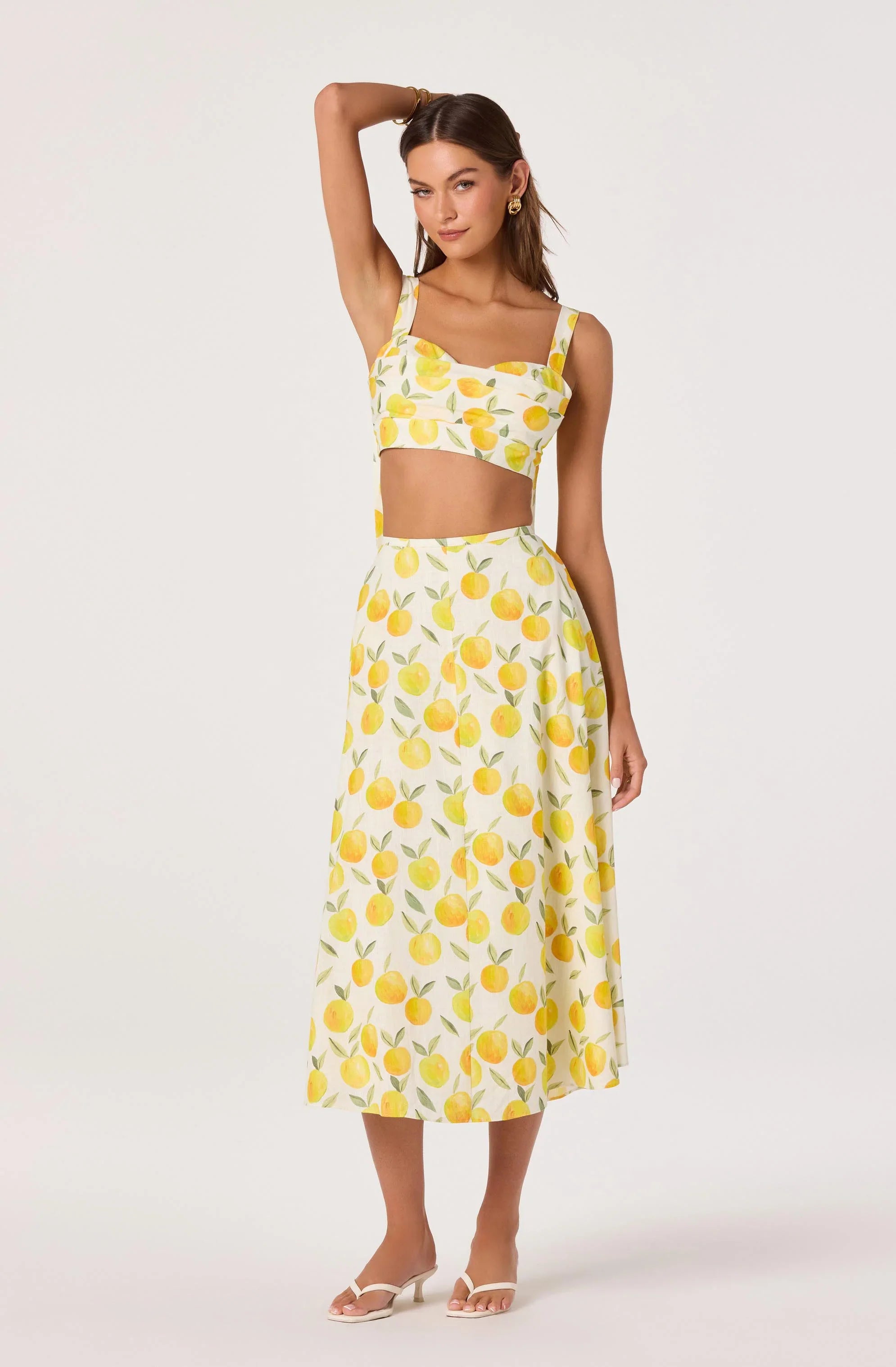 Myria Print Linen A-Line Midi Skirt