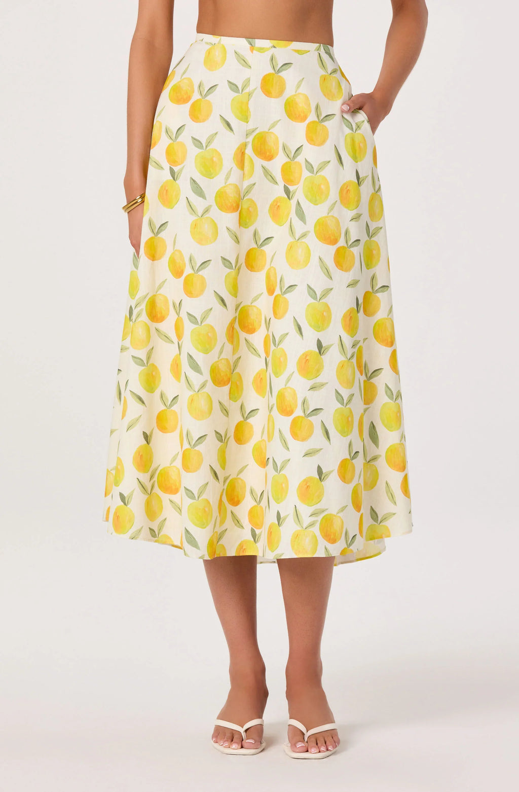 Myria Print Linen A-Line Midi Skirt