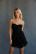 Ivy Lace Bustier Babydoll Mini Dress