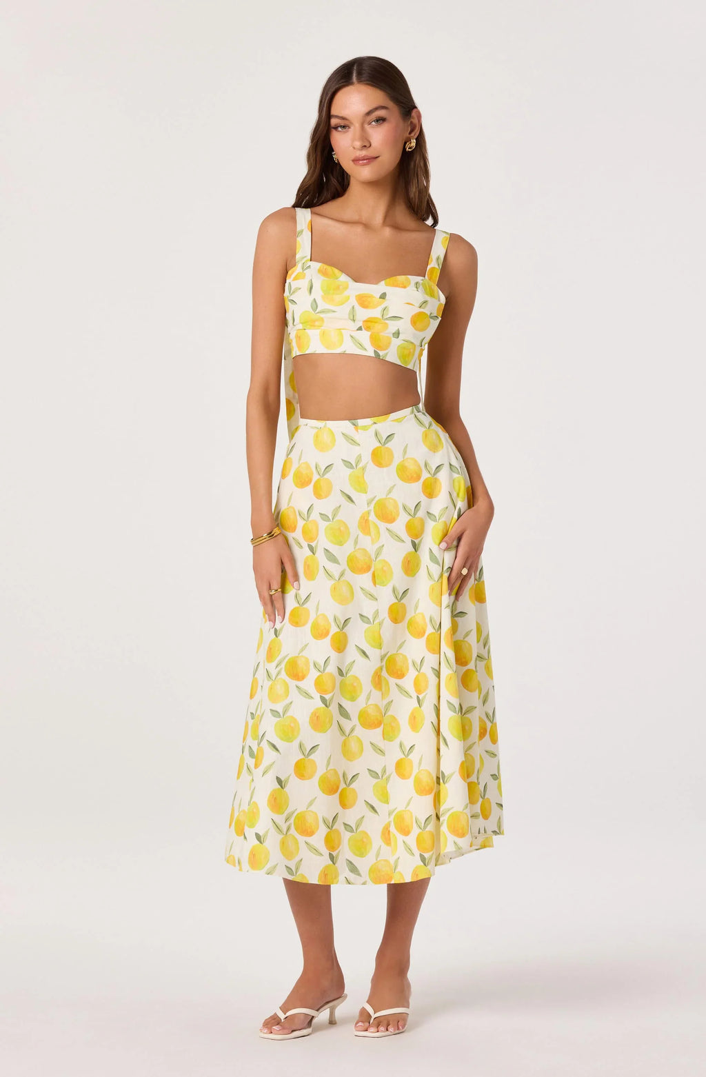 Myria Print Linen A-Line Midi Skirt