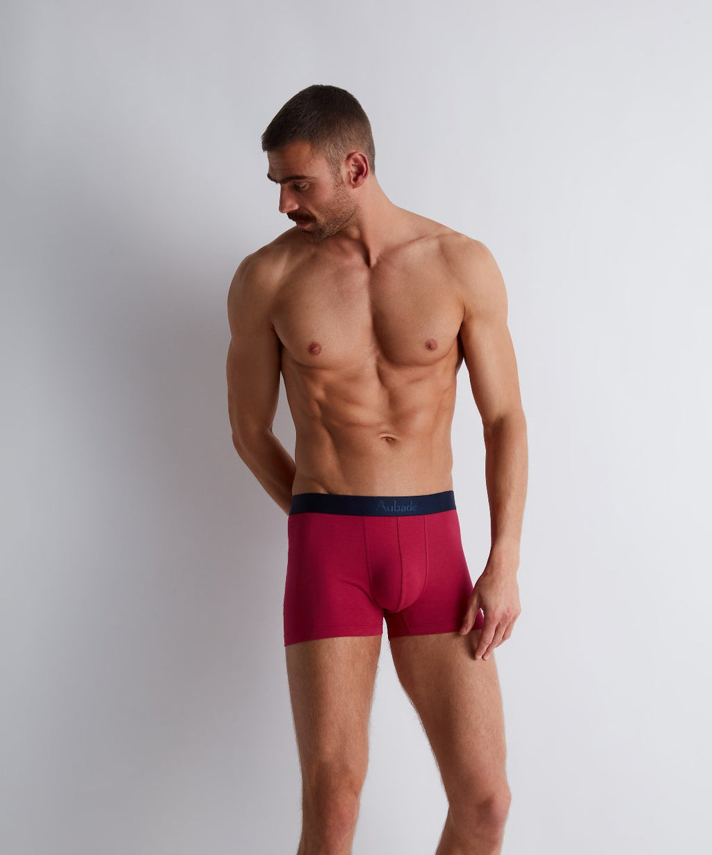 Aubade Homme Pack 2 boxers Fairy Bloom