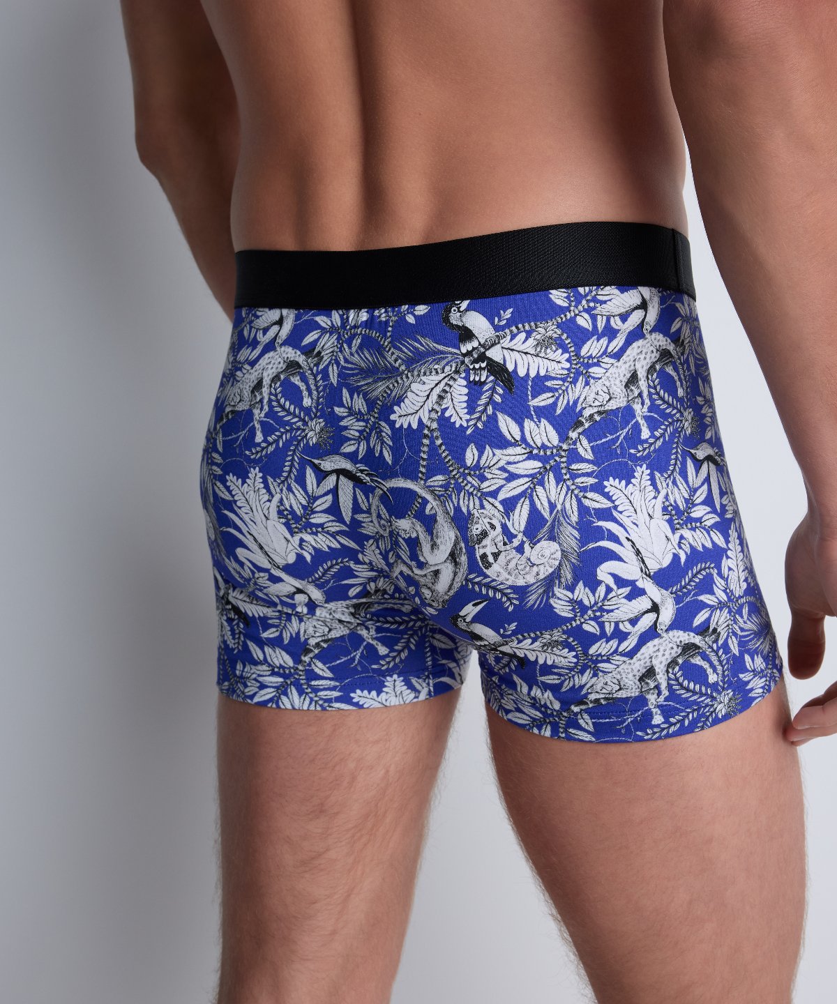 Aubade Homme Pack de 2 boxers Jungle Life