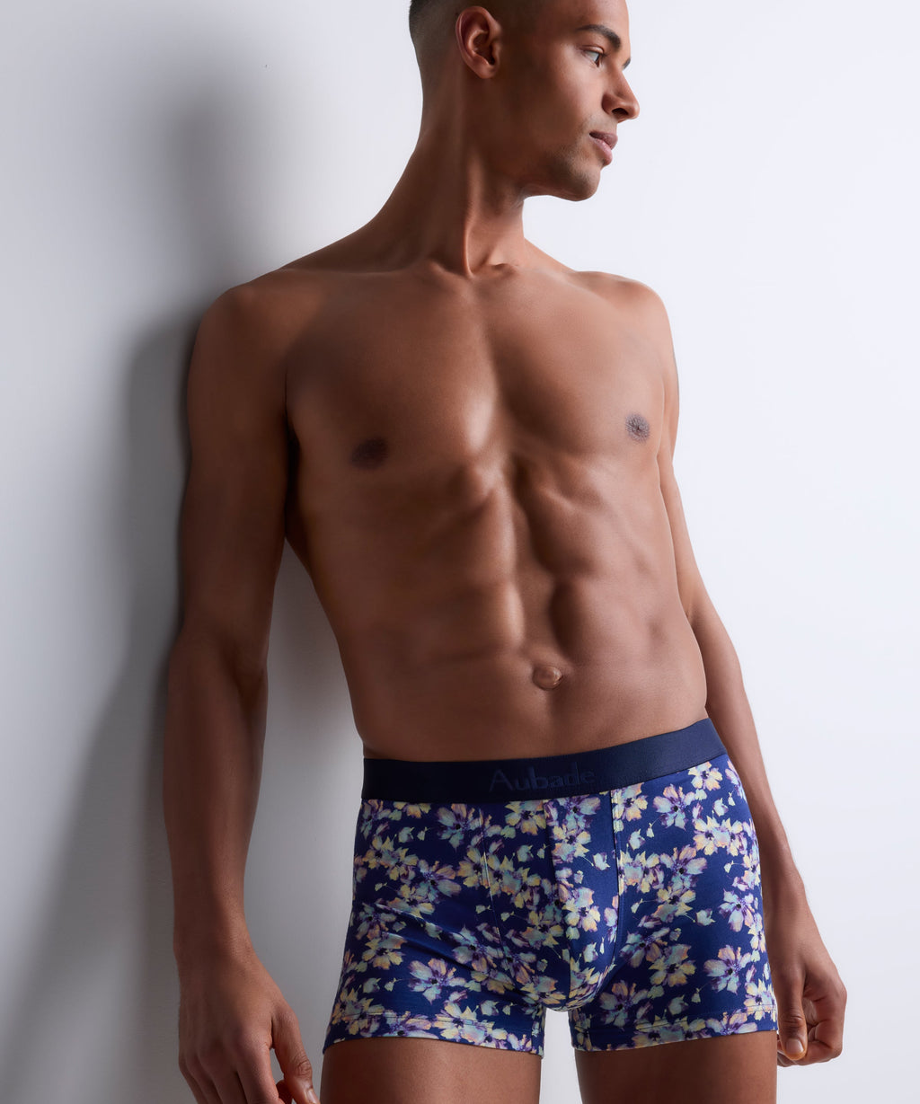 Aubade Homme Pack 2 boxers Painting Field